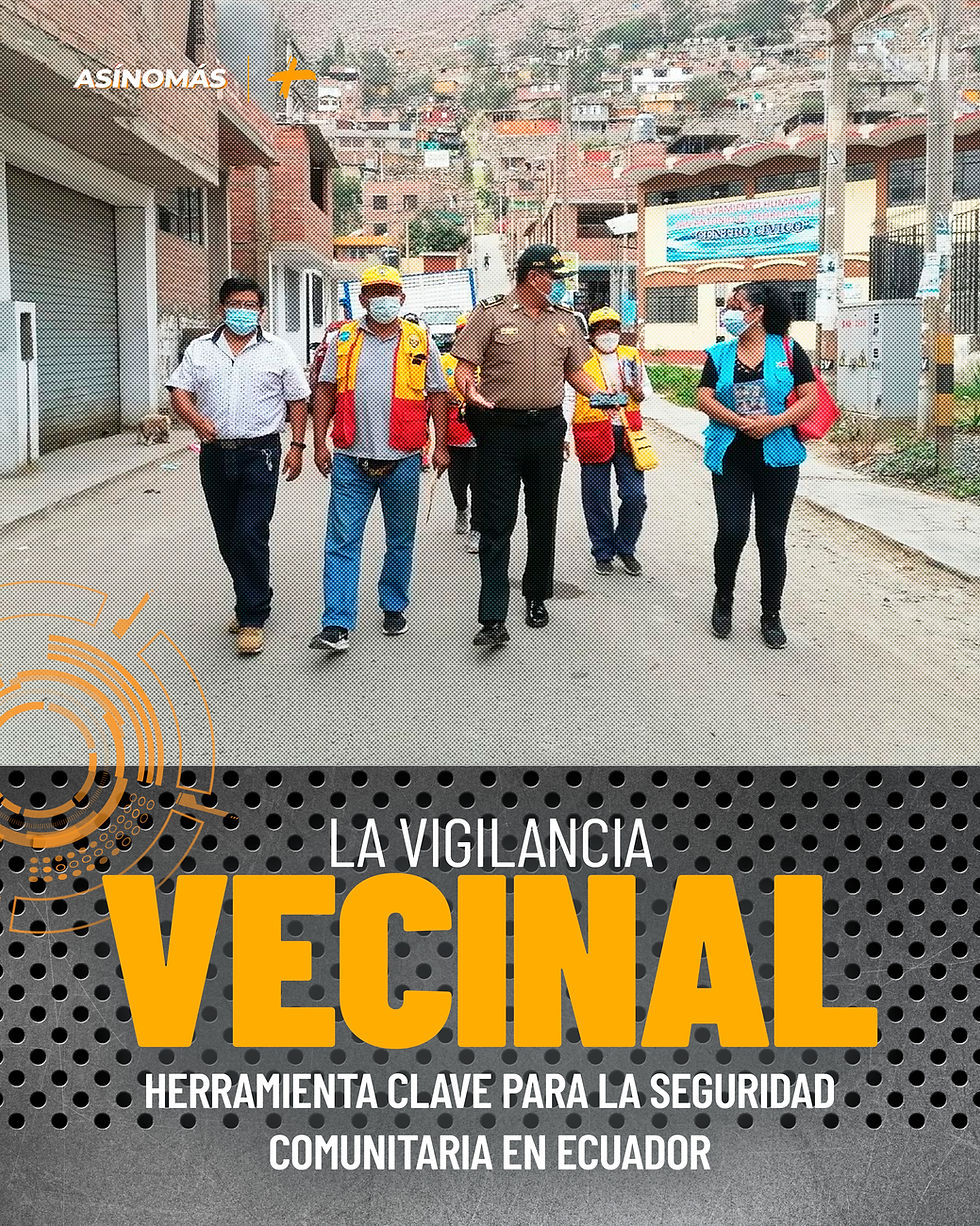 ZONA SEGURA 002