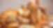 PANES / BREADS