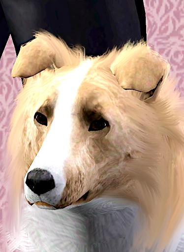 Claire headshot 01.png