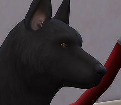 Shadow Headshot 01.png