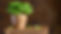 IMG_4670.jpeg