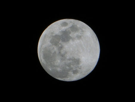 2026年3月のメッセージ(song)