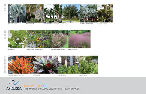 MAA Westshore courtyard design presentation_2021-08-12sm_Page_05.jpg