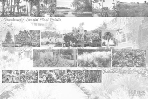 westshore inlet shore prelim BW50 (15).jpg