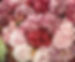 fiori matrimonio benevento