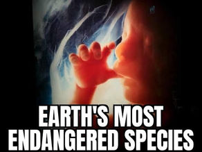 Repeal intrinsically evil surrogacy legislation!