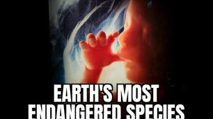 Repeal intrinsically evil surrogacy legislation!