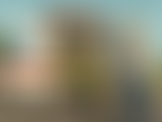 Two national guards got laid in Washington d c