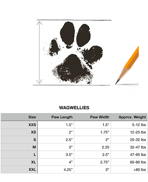 NEWBOOTCHART.webp