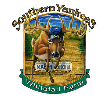 SY Logo.jpg
