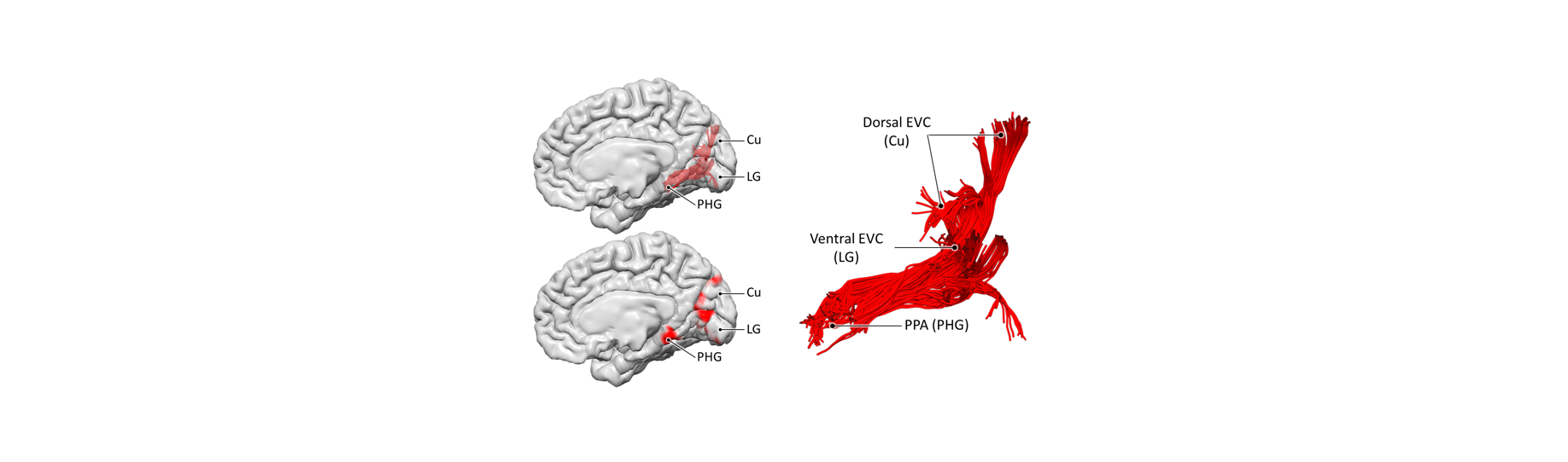 New preprint!