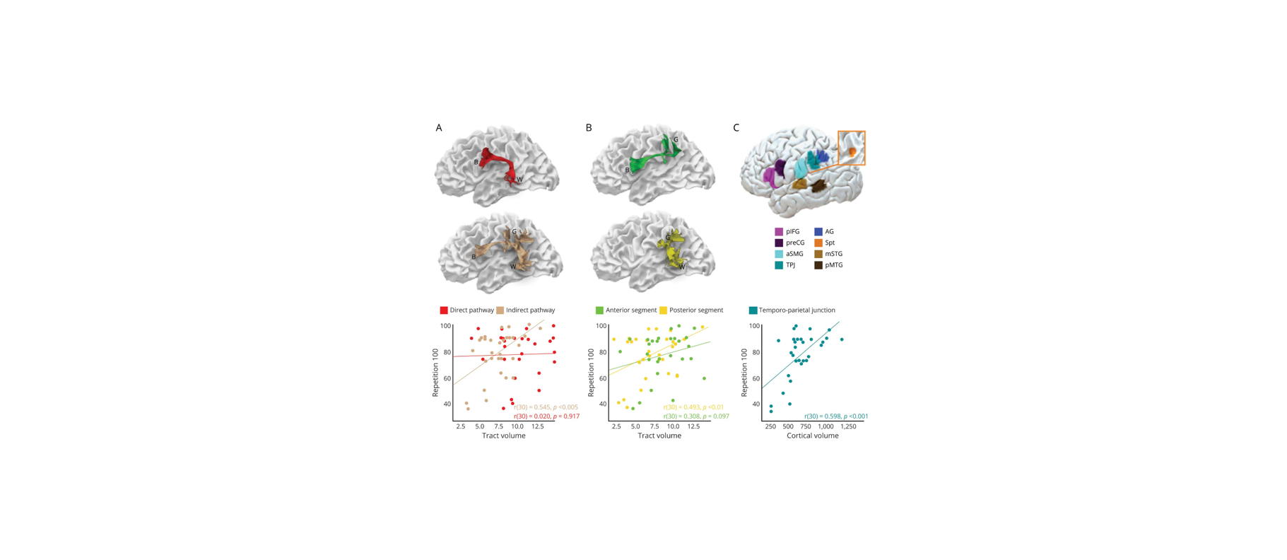 New paper on word repetition