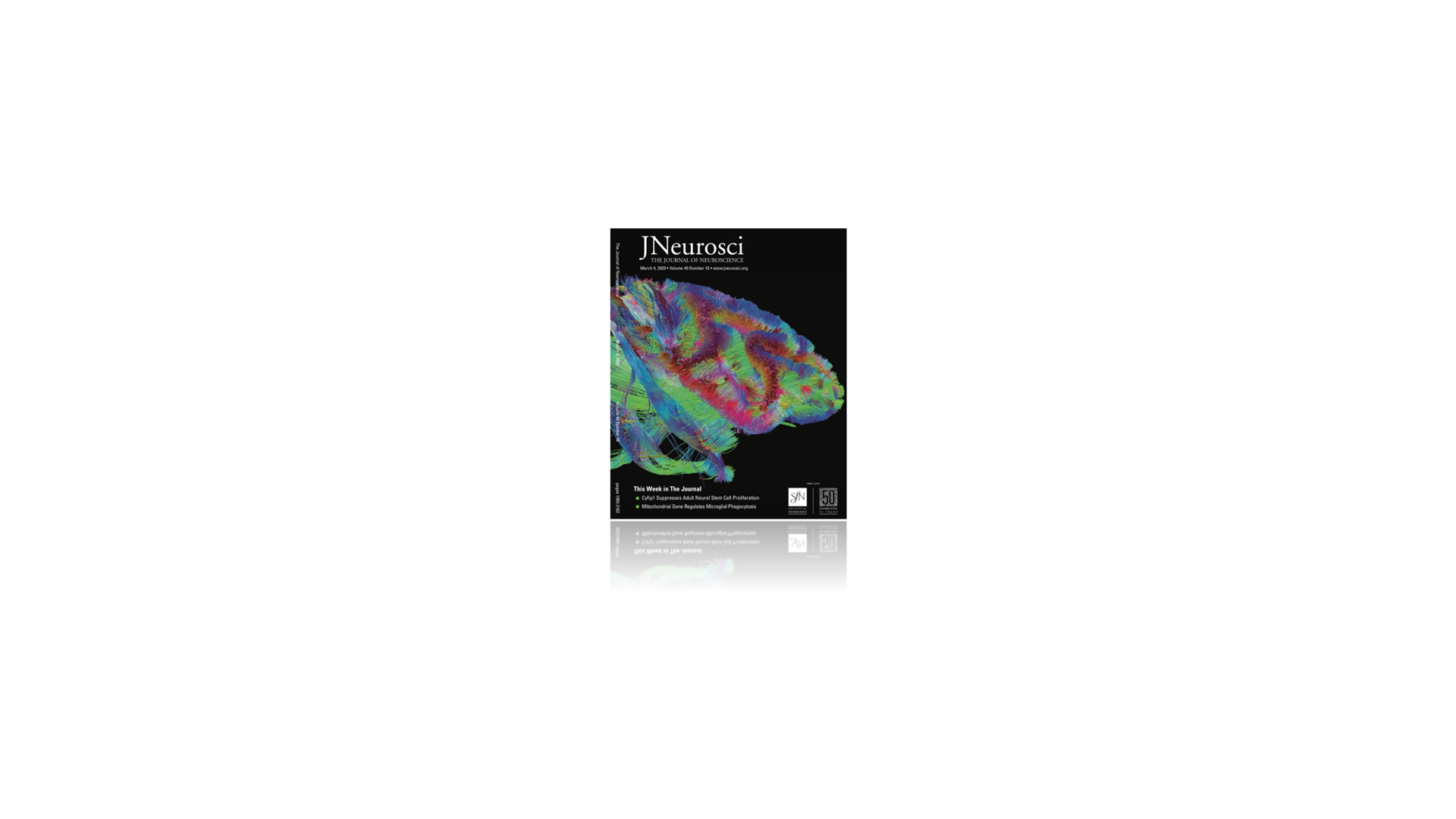 Journal of Neuroscience Cover
