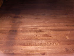 july thru sept 2007 075.jpg