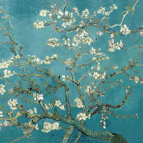 Çiçek Açan Badem Ağacı