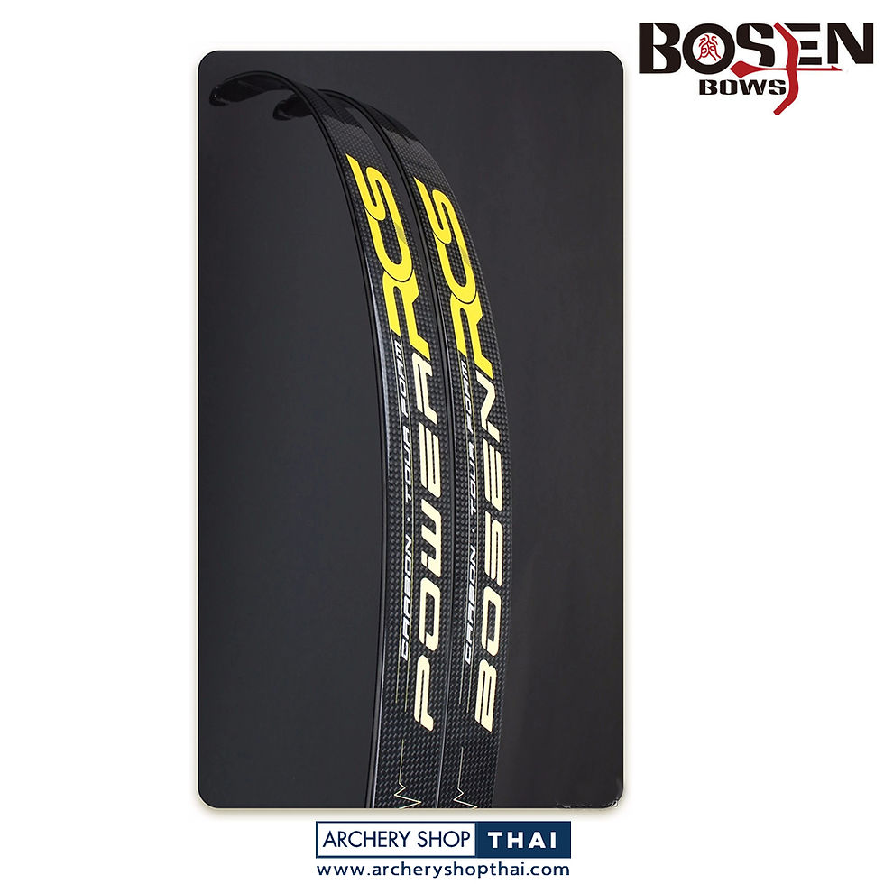 Thumbnail: Bosen RCS fast limbs ILF
