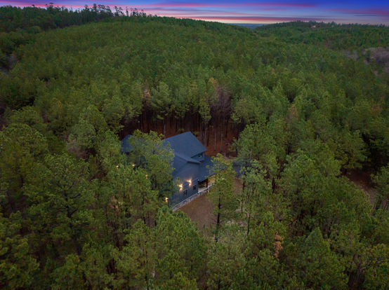Aerial, shows the forest.jpg