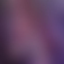 2024 Lighthouse International Film Festival Winners