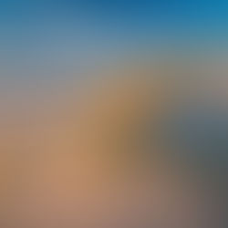 2025 LIFF Tickets & Passes Information