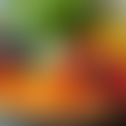 Transform Your Health with Personalized Nutrition Coaching