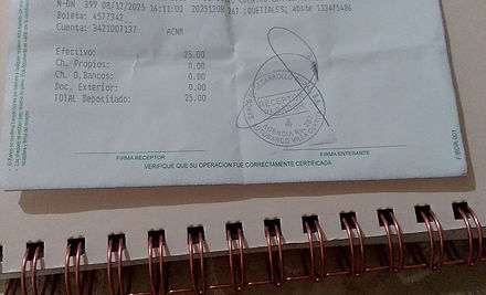 Ejemplo Boleta.jpg