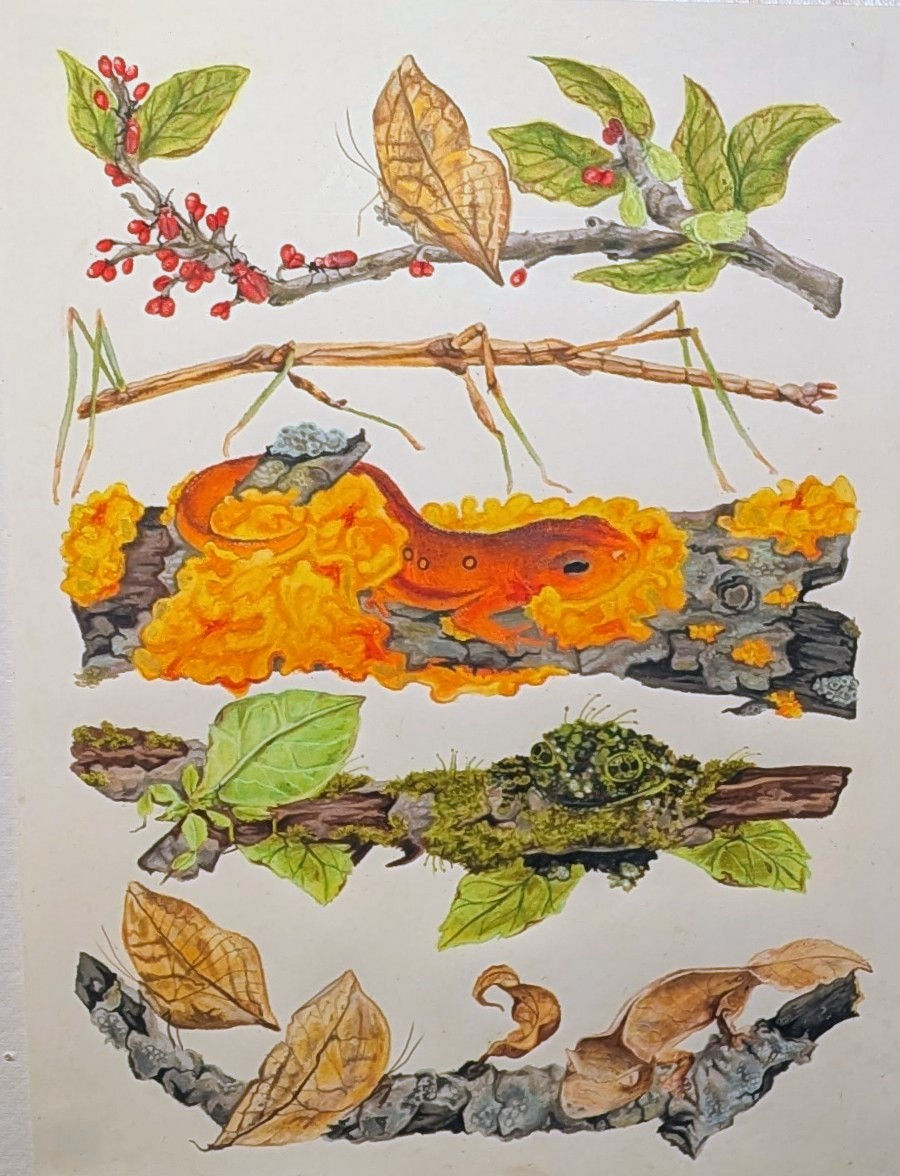 PXL_20251021_183525326.RAW-01.COVER~4