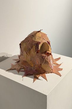 Detritus View 2