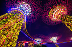 super-tree-garden-by-bay-singapore