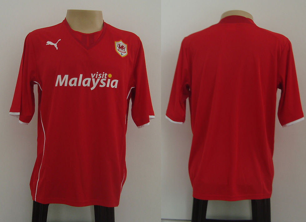 Cardiff City Jogo 1 2013-14