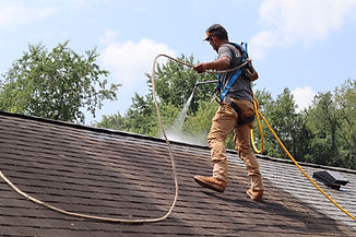 Roof cleaning