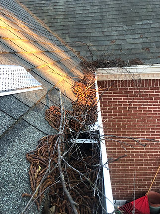 full and dirty gutter