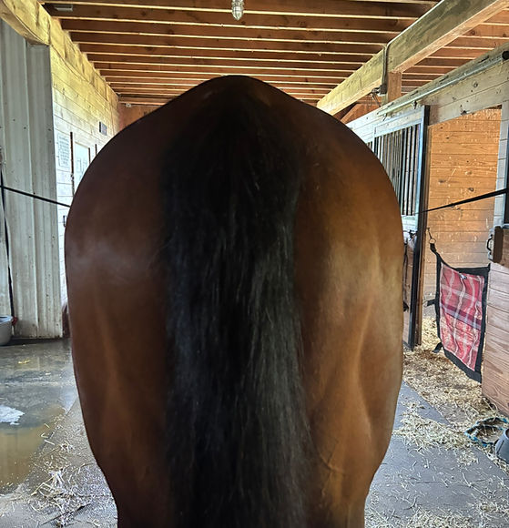 20250622_Bbn_Gluteal_After - Copy.JPEG