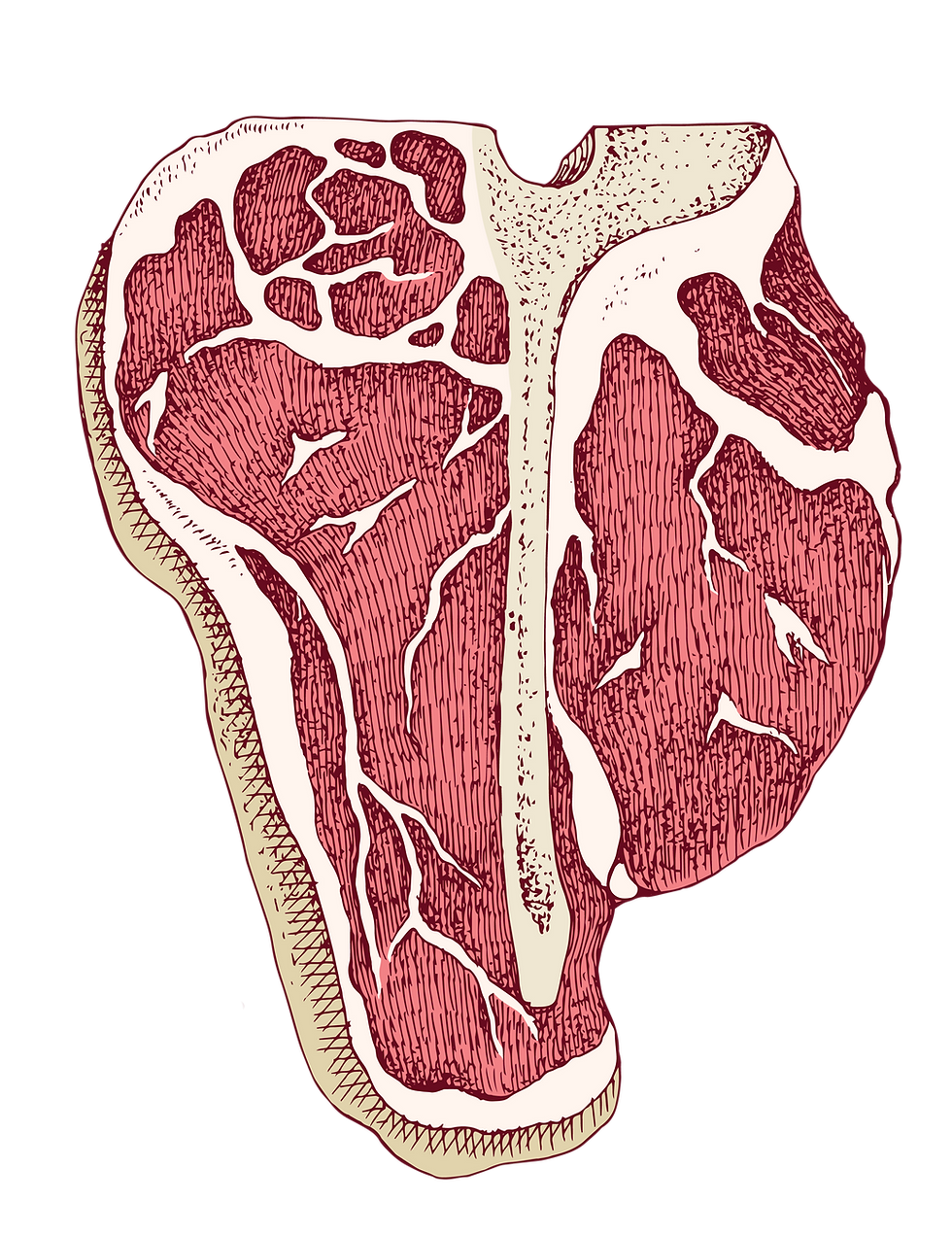 Porterhouse.png
