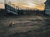 IMG_4301.jpeg