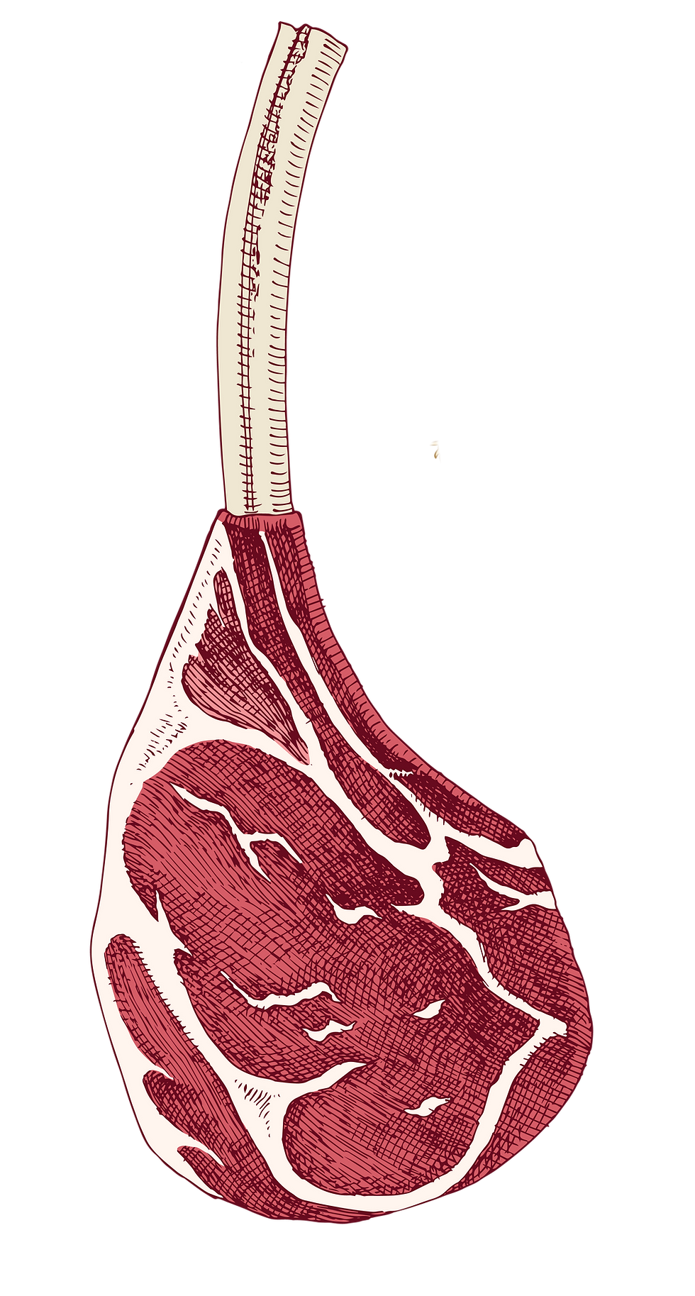 Tomahawk.png