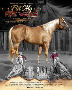 FlitMyFireWater_2026 copy