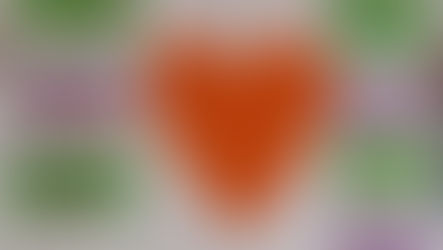 Το 18ο Δημοτικό Σχολείο Κοζάνης ενάντια στο Bullying | Μίλα Τώρα