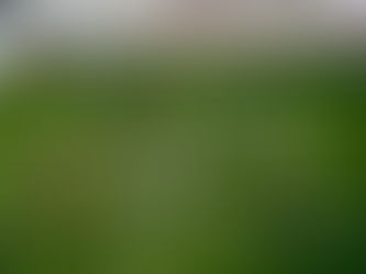 Το 2o Δημοτικό Σχολείο Αχαρνών ενάντια στο Bullying | Μίλα Τώρα