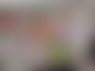 Το 3o Δημοτικό Σχολείο Φαρσάλων ενάντια στο Bullying | Μίλα Τώρα