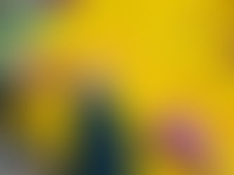 Το 11ο ΔΣ Θεσσαλονίκης ενάντια στο Bullying | Μίλα Τώρα