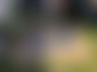 Το νηπιαγωγείο Αστακού ενάντια στο Bullying I Μίλα τώρα