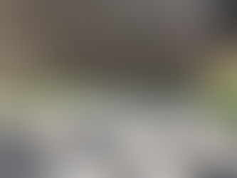 Topsoil  The Benefits of Using Topsoil in Your Garden