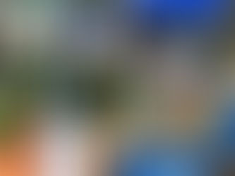 The 2-Wire Irrigation System