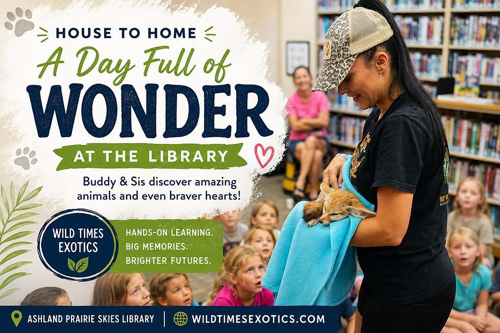 A Day Full of Wonder