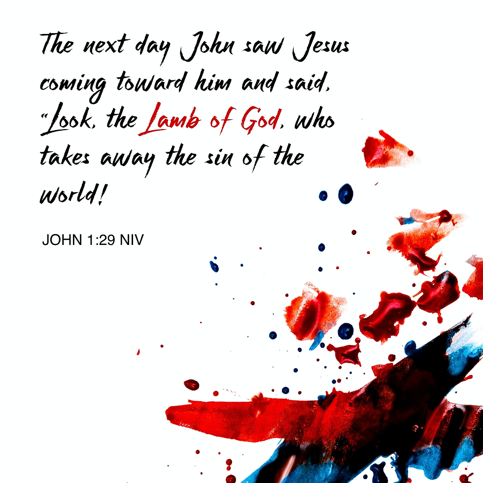 John 1:29
