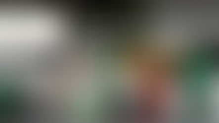 Holiday Collection 2025