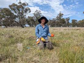 April 2026 AMS virtual seminar: Solomon Maerowitz-McMahan - on mycorrhizal fungi's post-fire resilience!