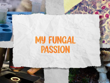 🎥Tell your fungal story in the AMS Education video Series - My Fungal Passion!