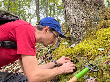 July 2026 AMS virtual seminar: Ryan Stephens, on animal-mediated dispersal of ectomycorrhizal fungi!