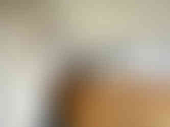 Empty rooms before the interior design maekover